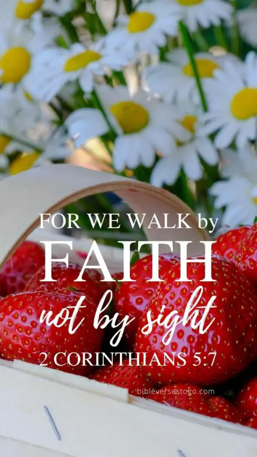 Christian Wallpaper - Fruit N Daisies 2 Corinthians 5:7