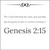 Genesis 2:15 - Put in Eden to Cultivate and Keep - Bible Verses To Go
