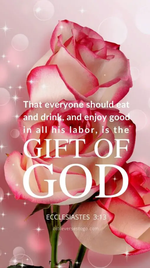 Christian Wallpaper - Gift of God Ecclesiastes 3:13