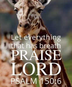 Christian Wallpaper - Giraffe Psalm 150:6