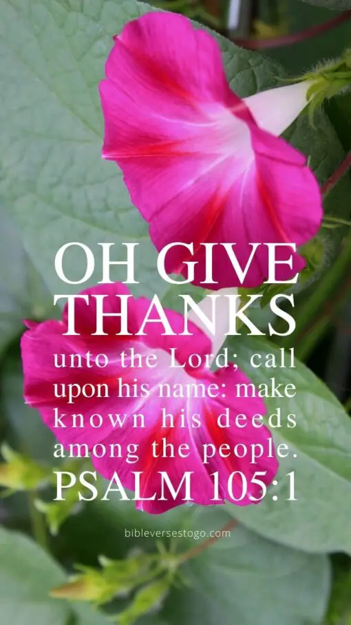Christian Wallpaper - Oh Give Thanks Psalm 105:1