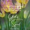 Christian Wallpaper - God's Spirit 1 Corinthians 3:16