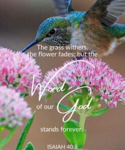 Christian Wallpaper - God's Word Forever Isaiah 40:8