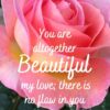 Christian Wallpaper - Gorgeous Rose Song of Sol 4:7
