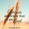 Christian Wallpaper – Grains Psalm 46:10