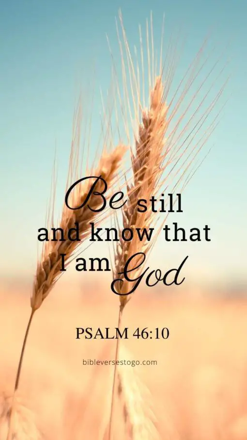 Christian Wallpaper – Grains Psalm 46:10
