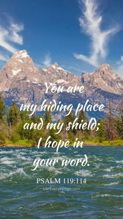 Christian Wallpaper - Grand Teton Psalm 119:114