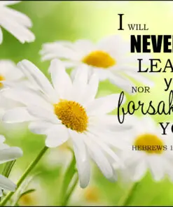 Hebrews 13:5 - Never Leave You - Bible Verses To Go