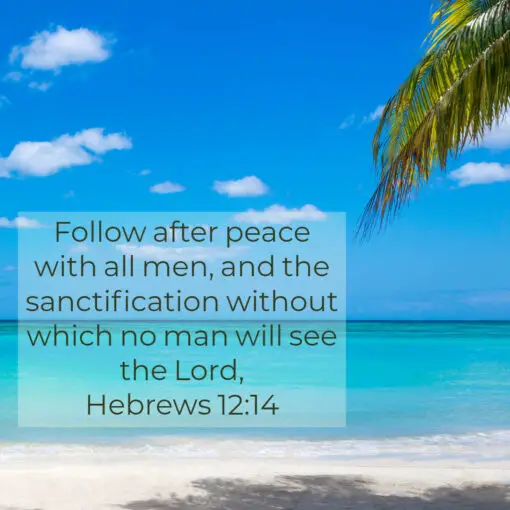 Hebrews 12:14 - Follow Peace With All Men - Bible Verses To Go