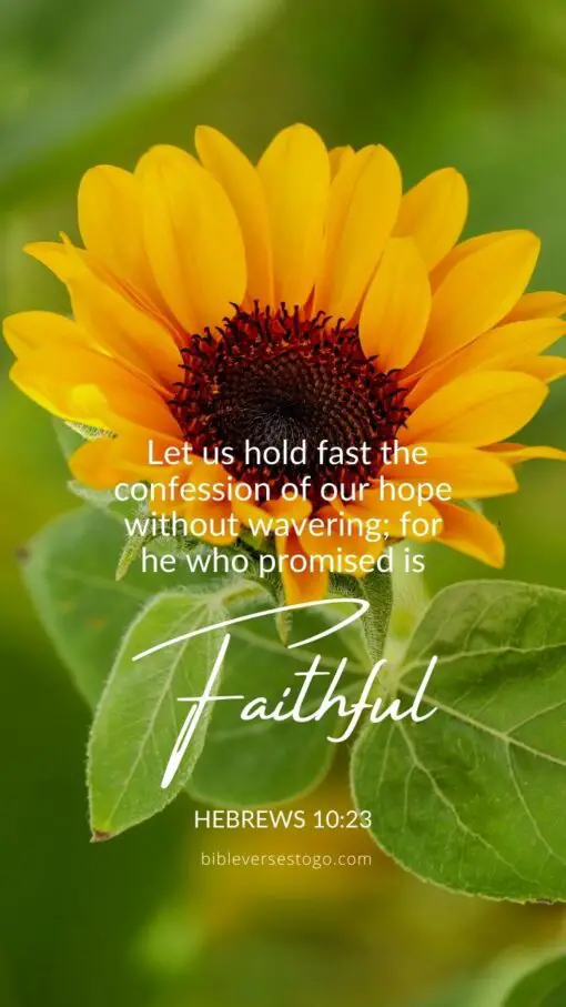 Christian Wallpaper - He is Faithful Hebrews 10:23