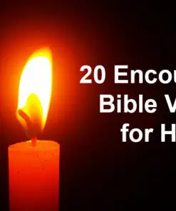 Bible Verses for Hope