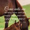 Christian Wallpaper - Horses Matthew 11:28