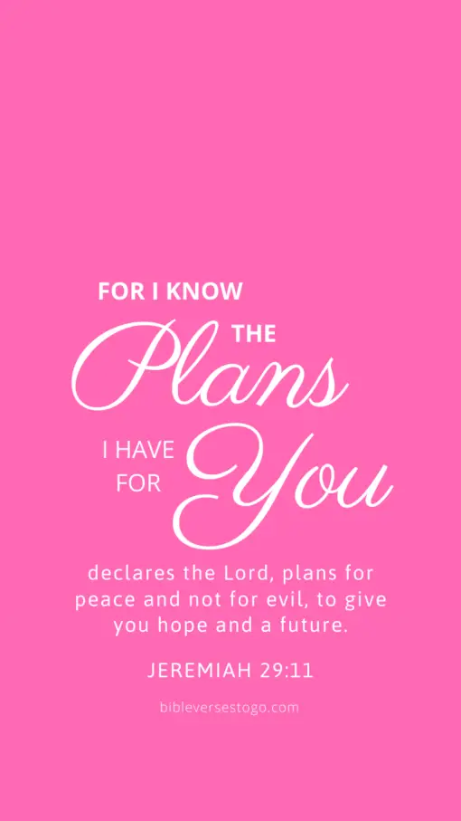 Christian Wallpaper – Hot Pink Jeremiah 29:11