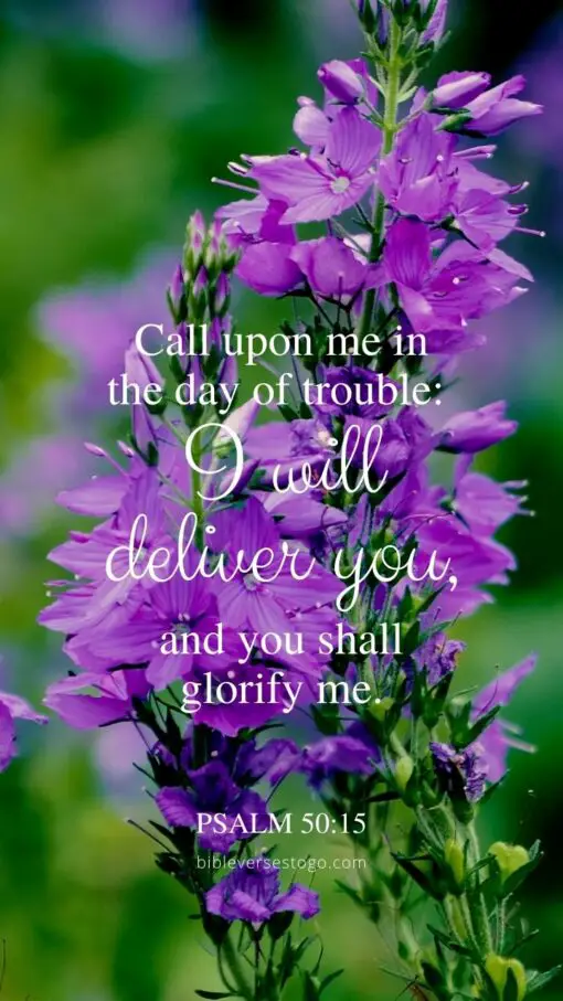 i-will-deliver-you-psalm-50-15-encouraging-bible-verses