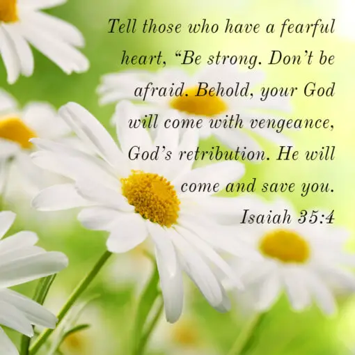 Isaiah 35:4 - Be Strong, Don't Be Afraid - Bible Verses To Go