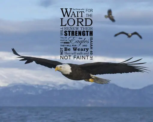 Isaiah 40:31 - Wings Like Eagles - Bible Verses To Go