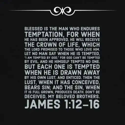 James 1:12-16 - Blessed is Man Who Endures Temptation - Bible Verses To Go