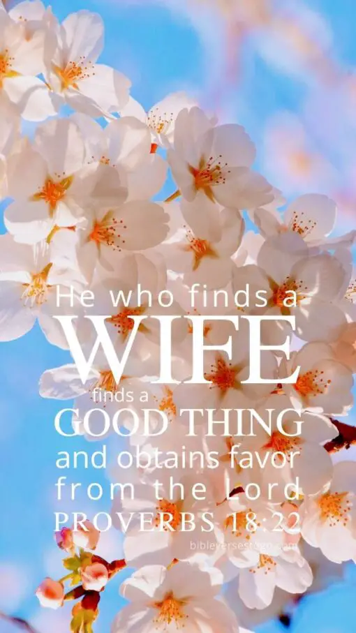 Christian Wallpaper - Japanese Blossoms Proverbs 18:22
