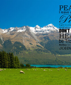 John 14:27 - Peace to You - Bible Verses To Go