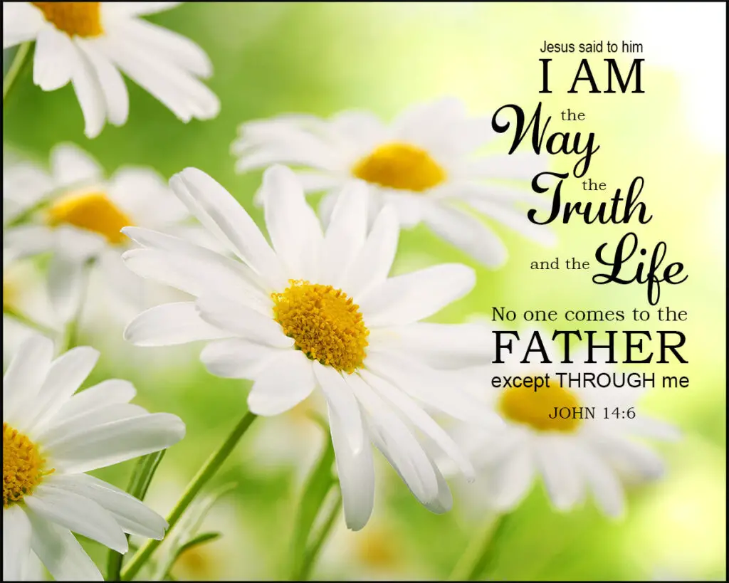 John 14:6 – I Am the Way – Encouraging Bible Verses