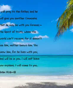 John 14:16-18 - I Will Not Leave You Orphans - Bible Verses To Go