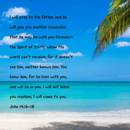 John 14:16-18 - I Will Not Leave You Orphans - Bible Verses To Go
