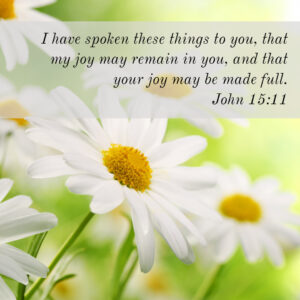 John 15:11 – Your Joy May Be Made Full – Encouraging Bible Verses