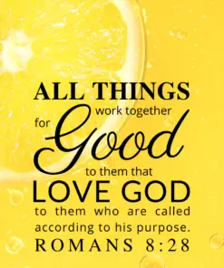 Christian Wallpaper – Lemon Romans 8:28