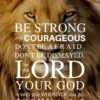 Christian Wallpaper - Lion Joshua 1:9