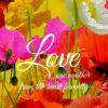 Christian Wallpaper - Love One Another 1 Peter 1:22