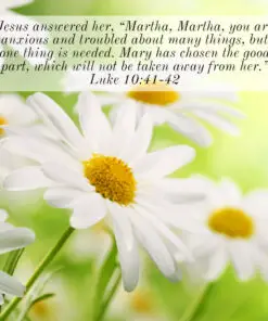 Luke 10:41-42 - Anxious and Troubled About Many Things - Bible Verses To Go