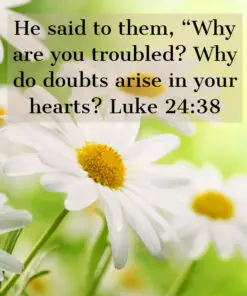 Luke 24:38 - Why Are You Troubled - Bible Verses To Go