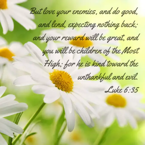 Luke 6:35 - Love Your Enemies and Do Good - Bible Verses To Go