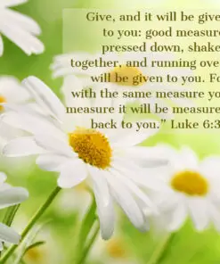 Luke 6:38 - Give and It Will Be Given to You - Bible Verses To Go