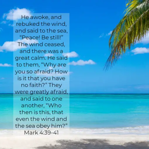 Mark 4:39-41 - Peace Be Still - Bible Verses To Go