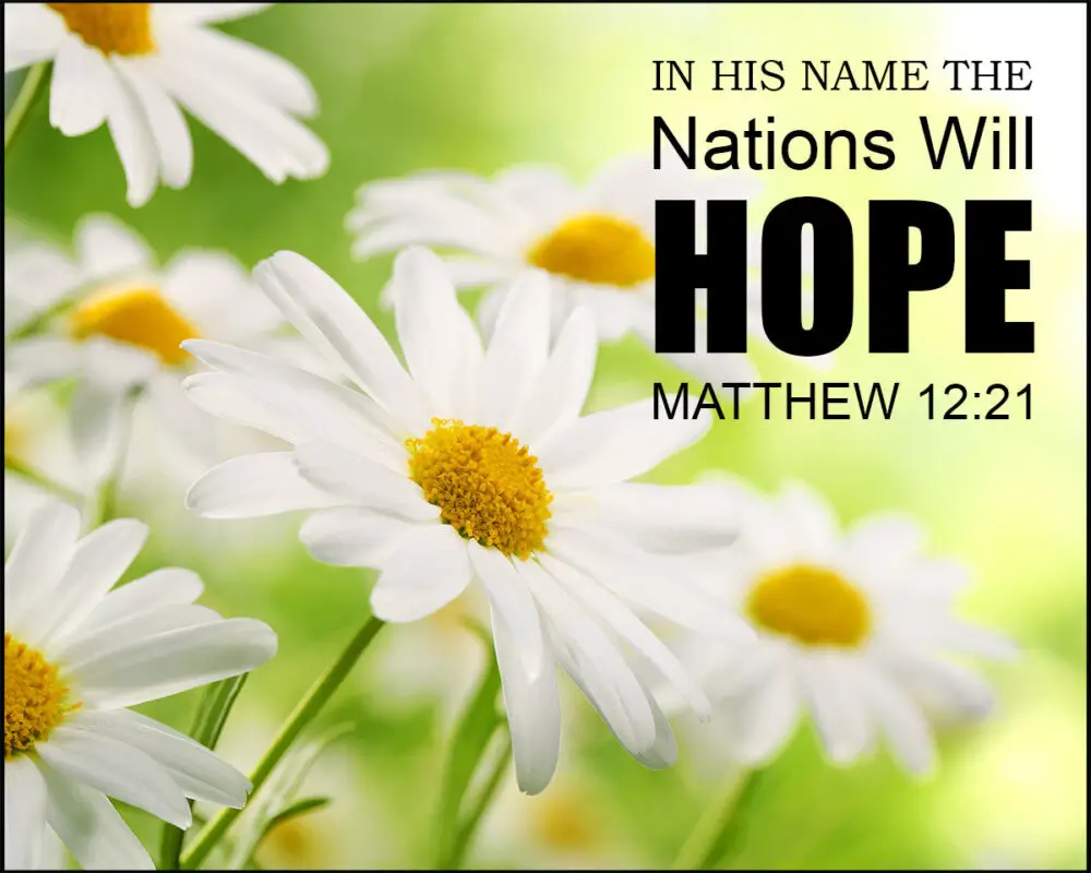 matthew-12-21-nations-hope-encouraging-bible-verses