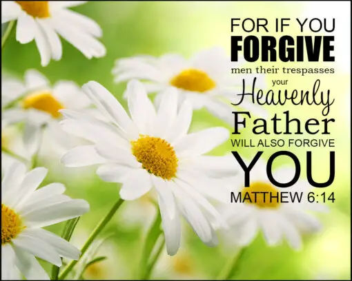 Matthew 6:14 - Forgive - Bible Verses To Go