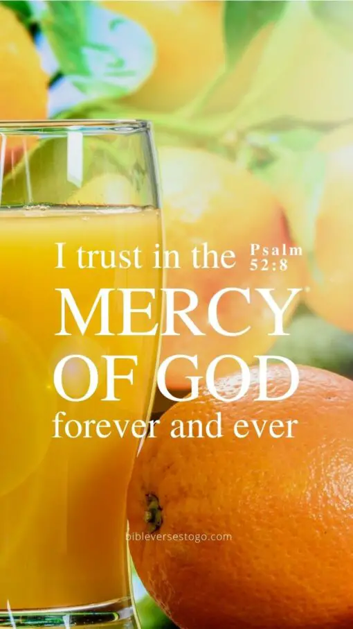 Christian Wallpaper - Mercy of God Psalm 52:8