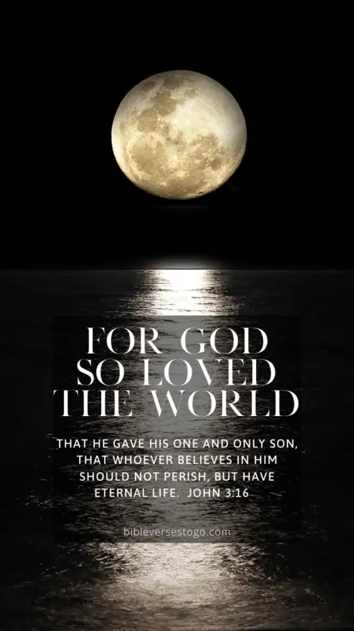 Christian Wallpaper - Moonlight2 John 3:16