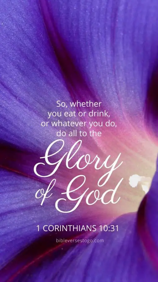 Christian Wallpaper - Morning Glory 1 Cor 10:31