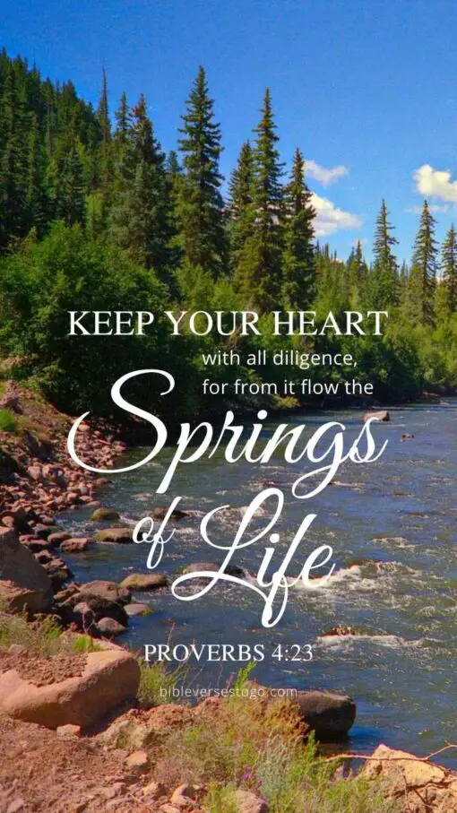 Christian Wallpaper - Mountain Stream Proverbs 4:23