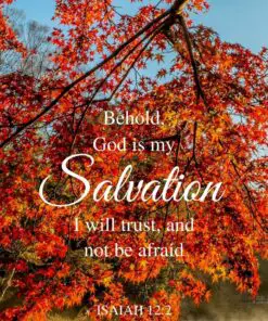 Christian Wallpaper - My Salvation Isaiah 12:2