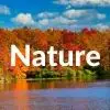 Nature Bible Wallpaper