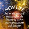 Christian Wallpaper - New Year Ephesians 4:24