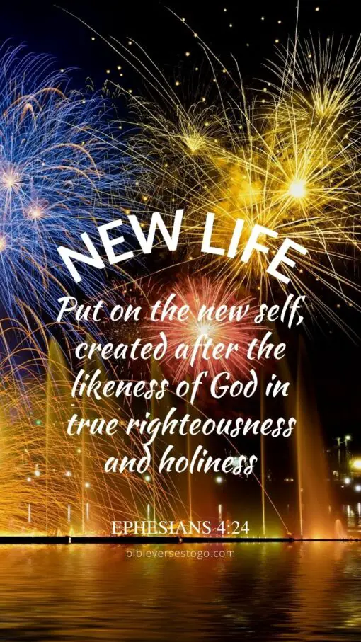 Christian Wallpaper - New Year Ephesians 4:24