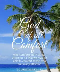 Christian Wallpaper - Palm Beach 2 Corinthians 1:3-4
