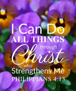 Christian Wallpaper – Pansies Philippians 4:13