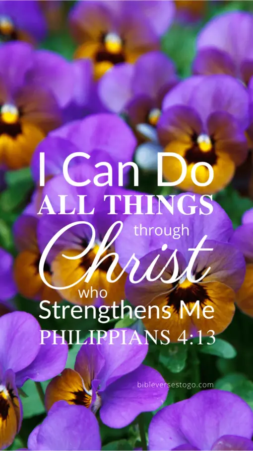 Christian Wallpaper – Pansies Philippians 4:13