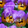 Christian Wallpaper – Pansies Philippians 4:6-7