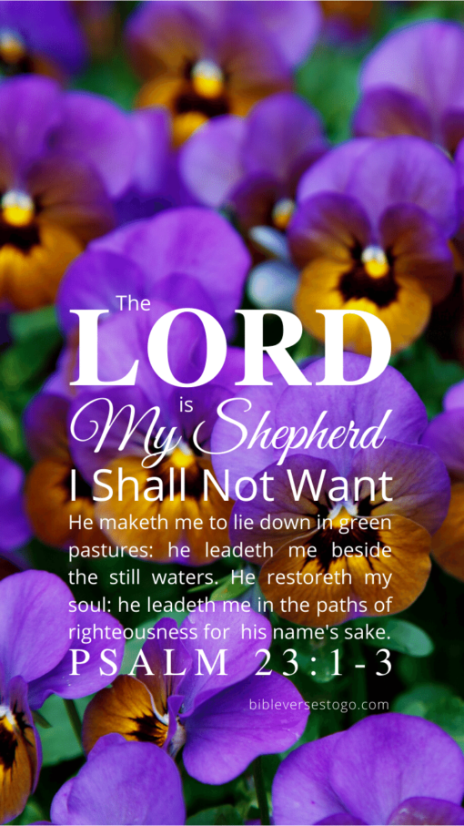 Christian Wallpaper – Pansies Psalm 23:1-3